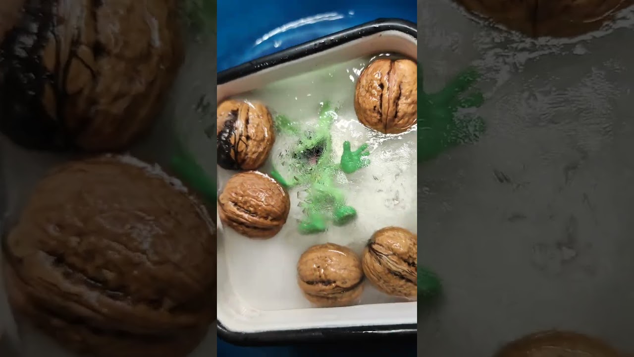 Hoppy Hopscotch ⚡ FROZEN WALNUT 🥶 Challenge  smiling critters I Poppy Playtime 1,2, 3, 4