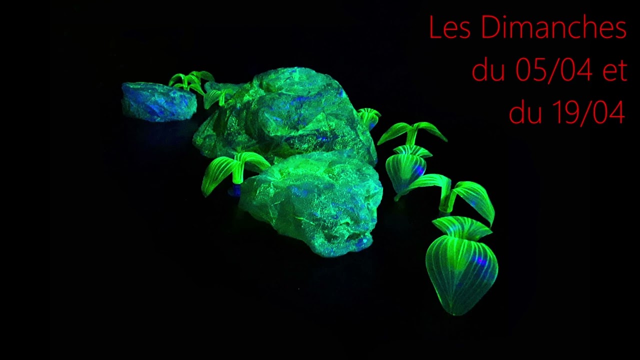 Scénographie 2026