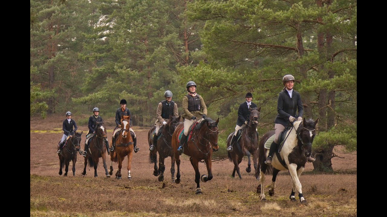MoinHei.de &ndash; Schleppjagd Misselhorner Heide 2025