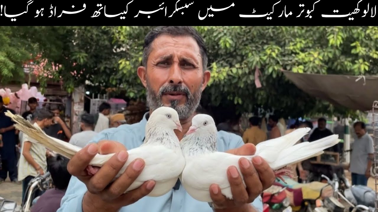 Kabootar Market Lalukhet Sunday Video Latest Update 20-7-25 in Urdu/Hindi