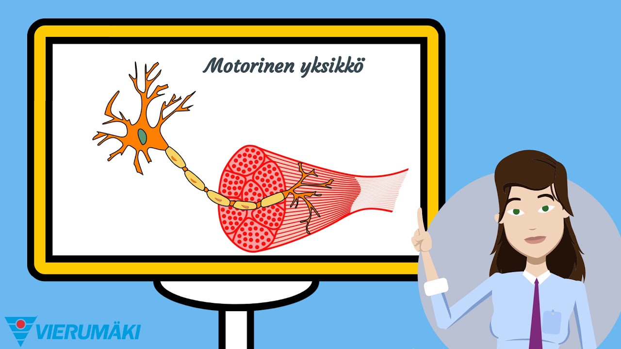 Lihassolut ja motorinen yksikkö