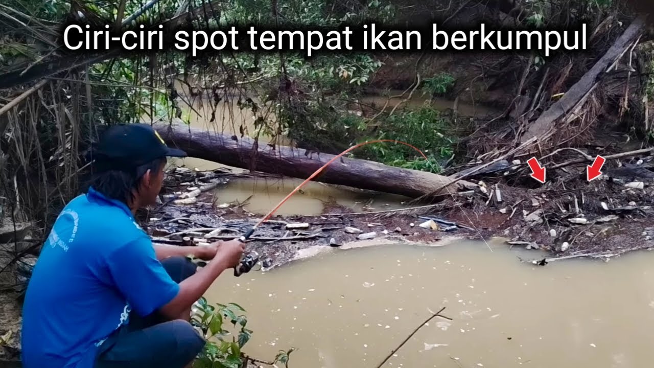 Masyaallah..!! Rezeki ini nama-Nya mancing di sarang ikan sehabis hujan