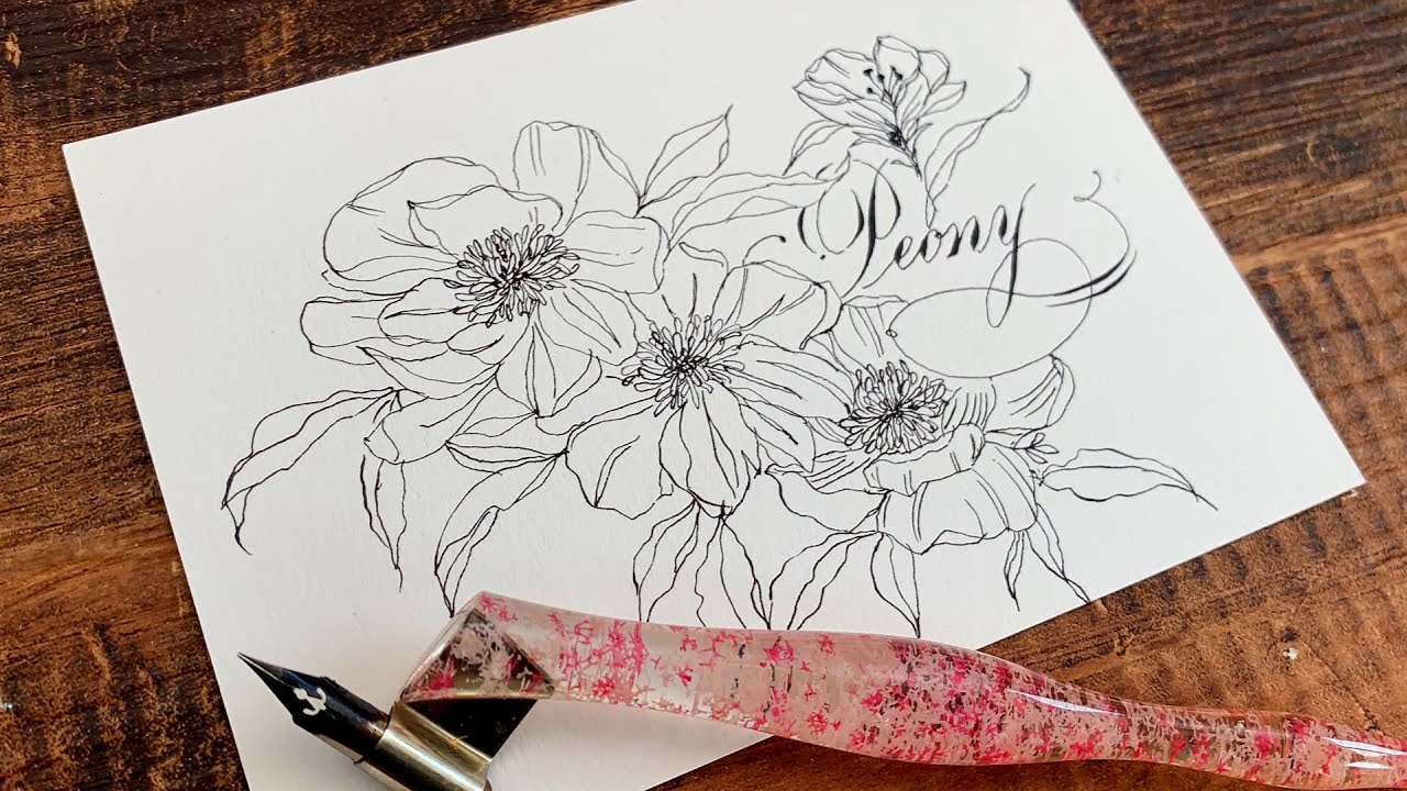 【 沾水筆 繪畫 】Peony 芍藥、牡丹 ( Luis沾水筆 )