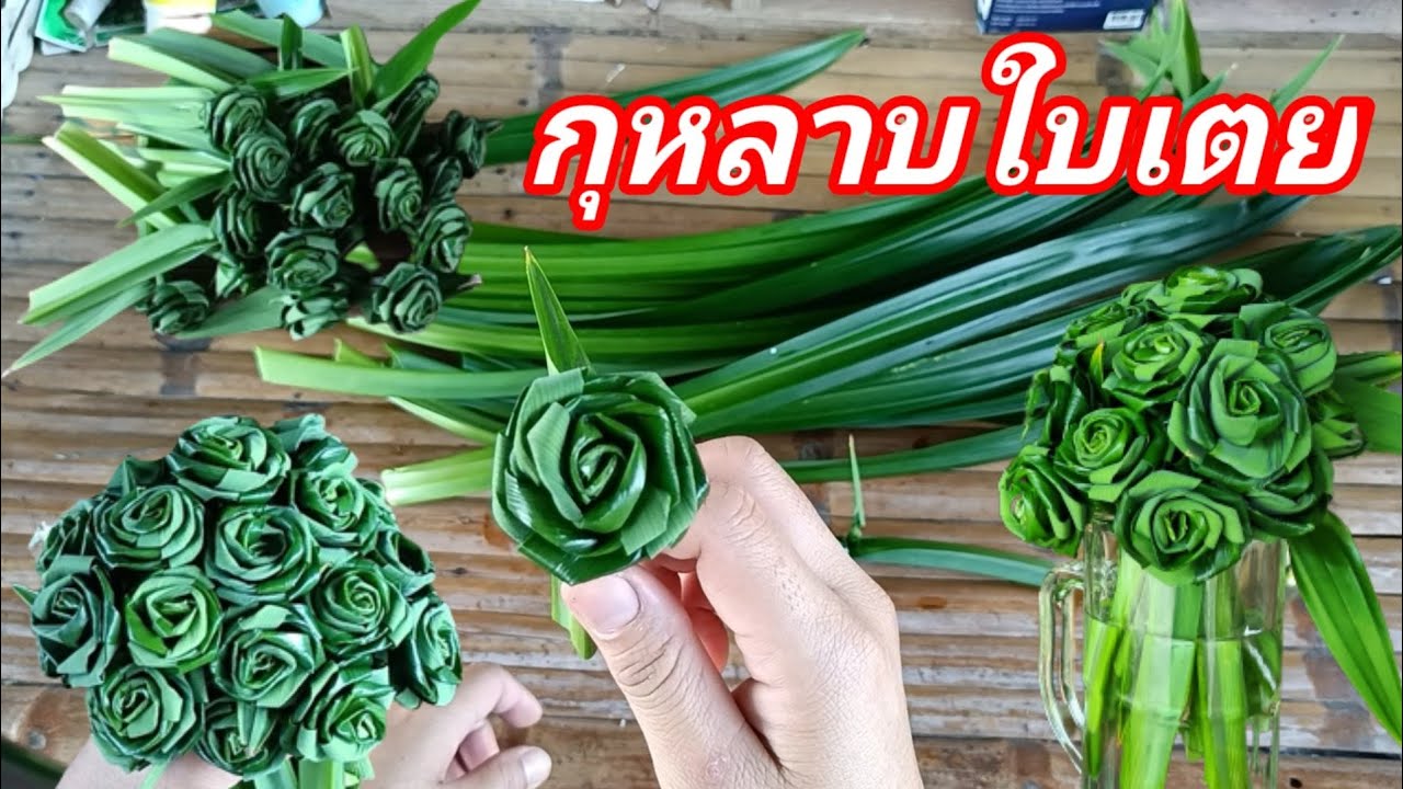 ep.10 กุหลาบใบเตย