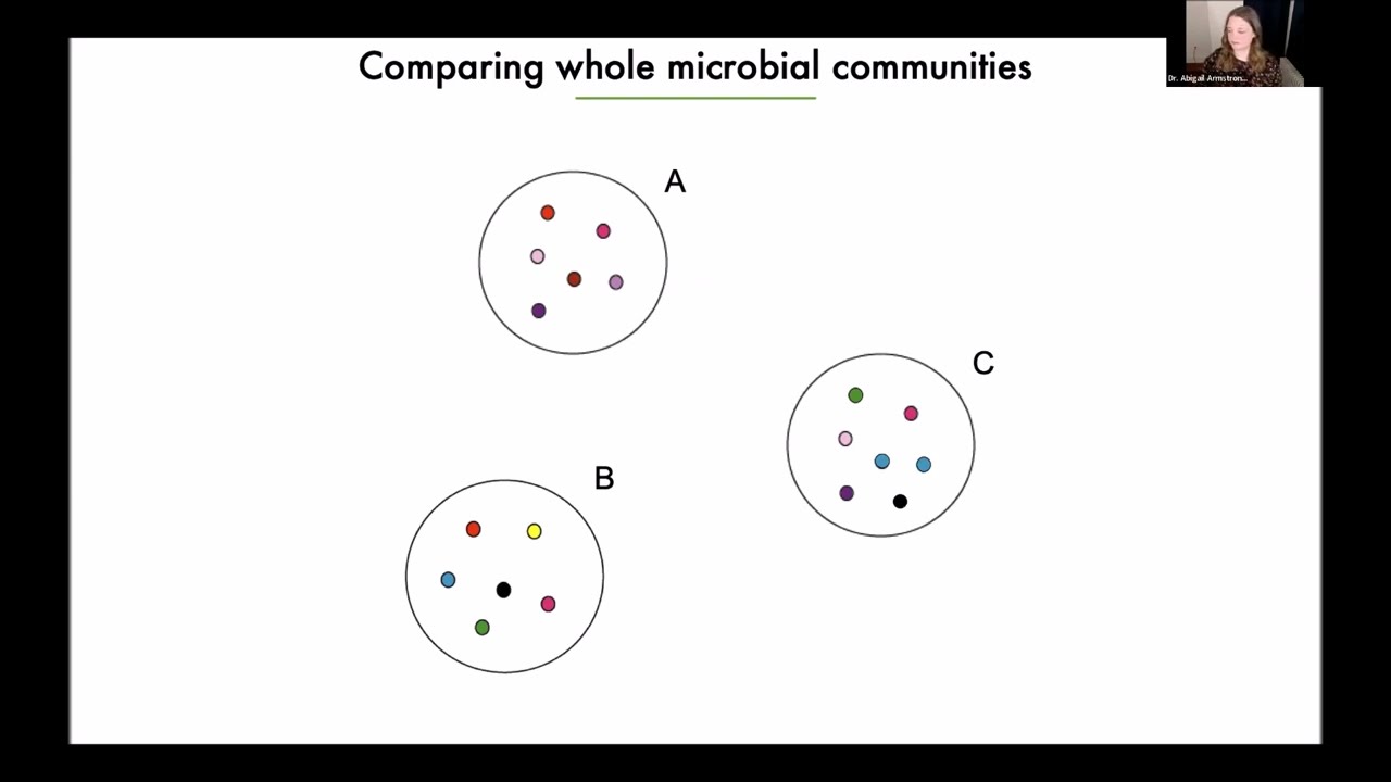Abigail Armstrong, PhD, Discusses the Human Microbiome