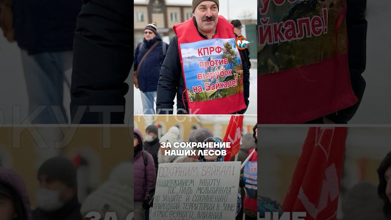 &laquo;Единая Россия&raquo; уничтожает нашу природу