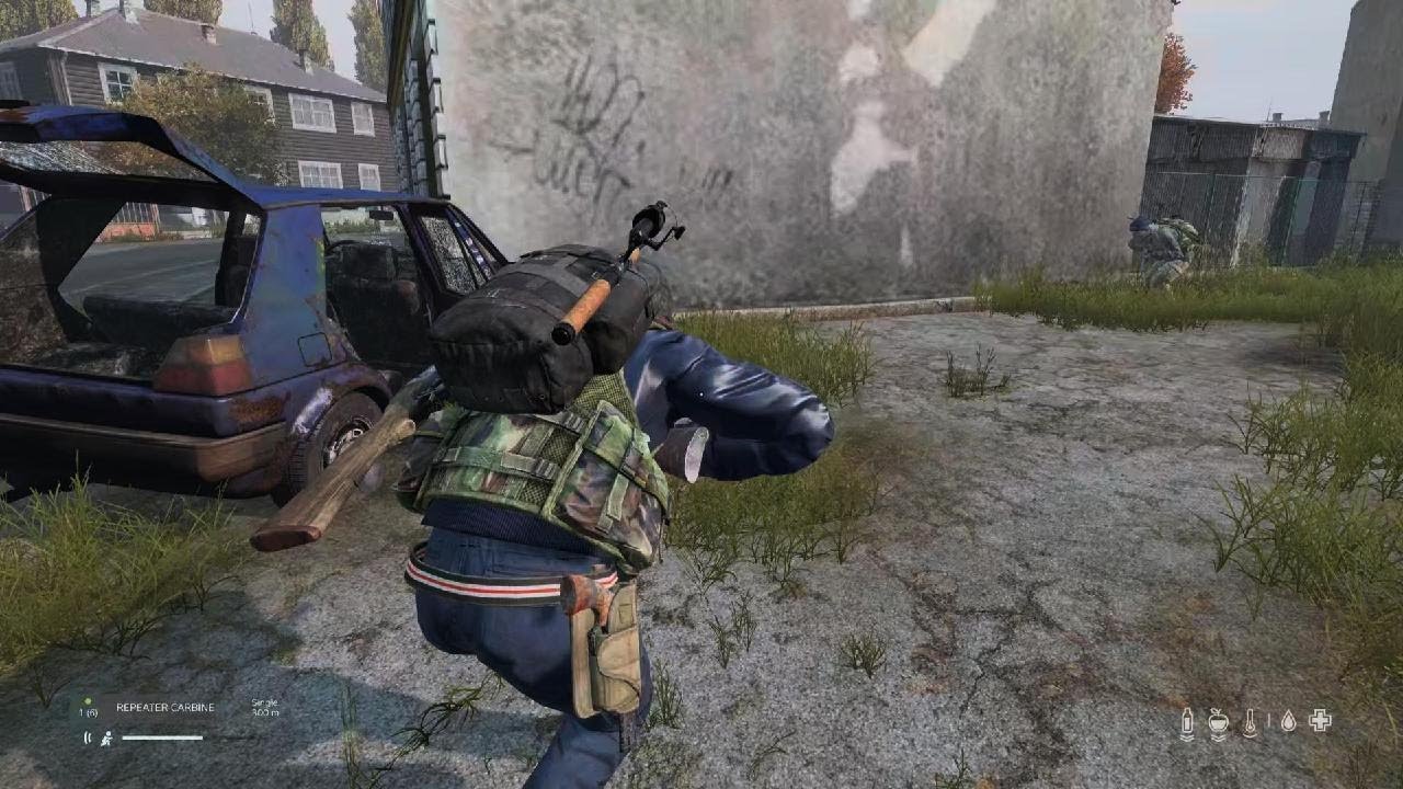 DayZ_20260209194908