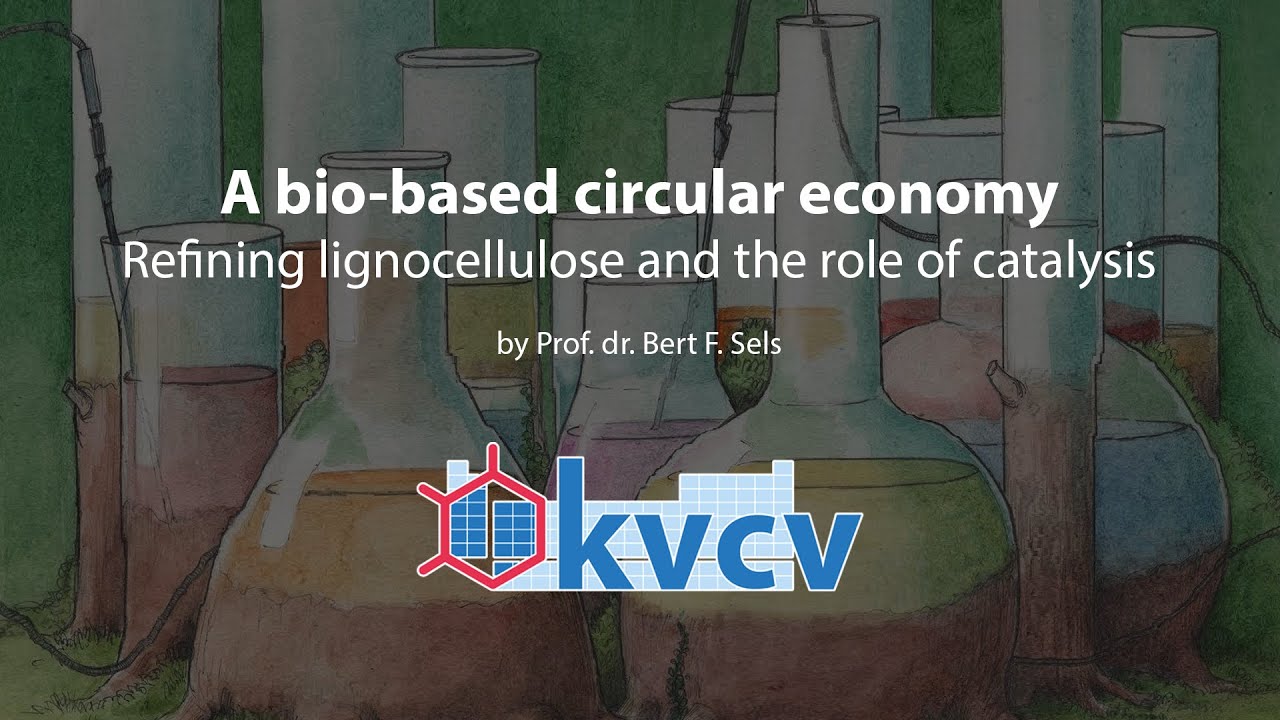 A bio-based circular economy: refining lignocellulose and the role of catalysis
