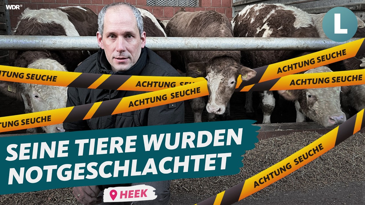 Rinderherpes: Landwirt vor dem Ruin? | WDR Lokalzeit Land.Schafft.