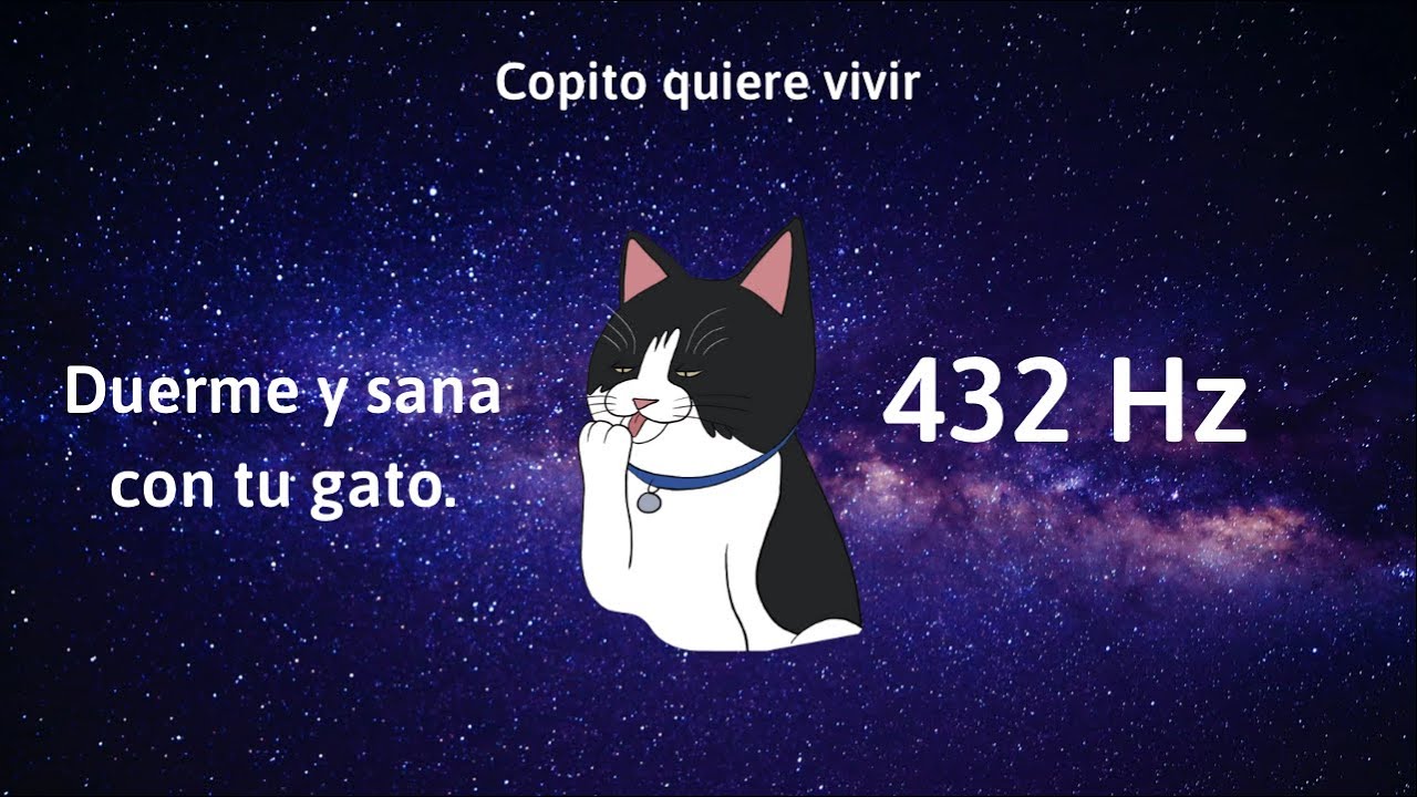 Música para gatos. Música para sanar y dormir.  432hz con ronroneos