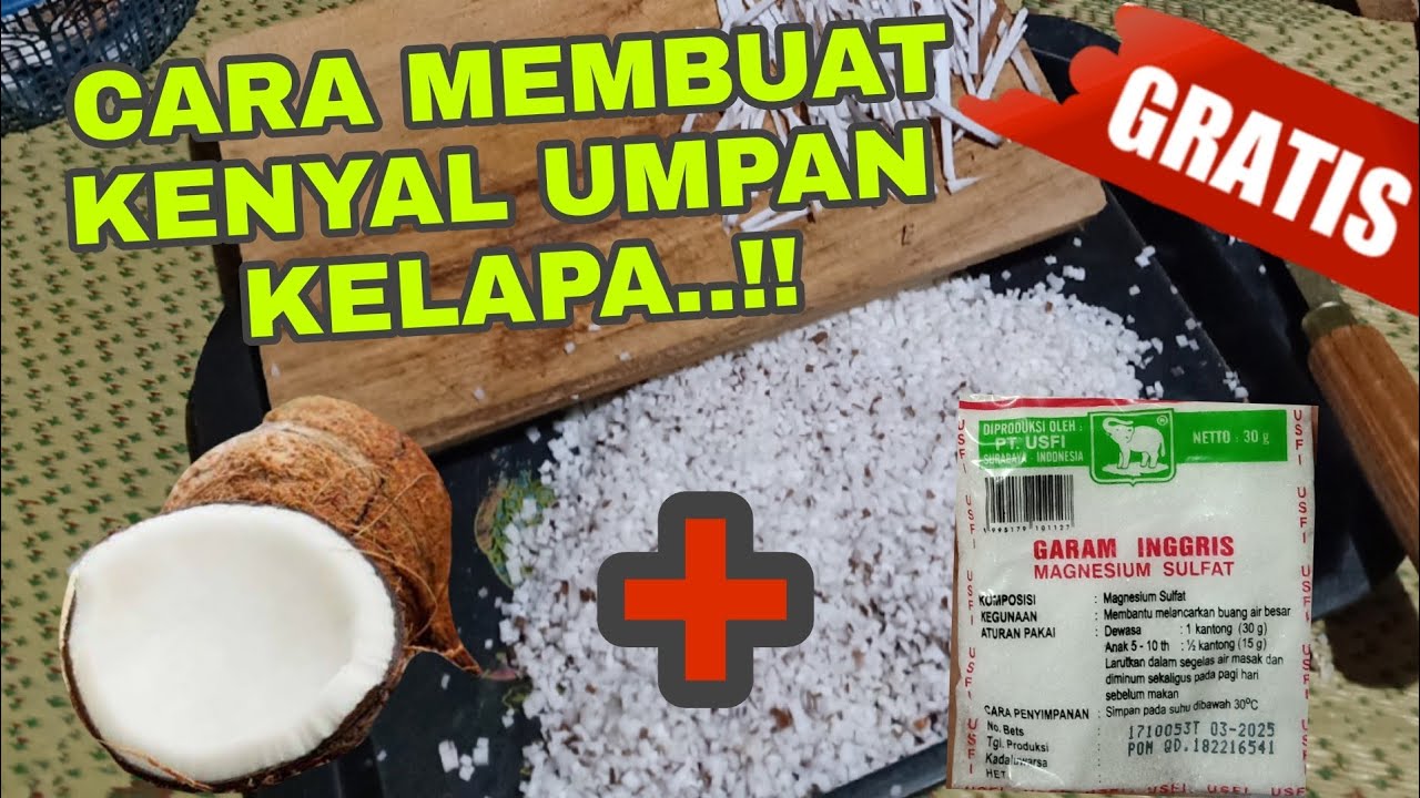 RAHASIA Utama Racikan Umpan Kelapa Untuk Ikan Bawal Selain Essense