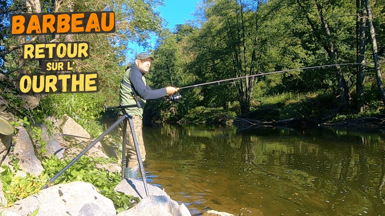 R&eacute;ouverture de l'Ourthe, le BARBEAU est-il au Rendez-Vous ?  |  P&ecirc;che du Barbeau au feeder