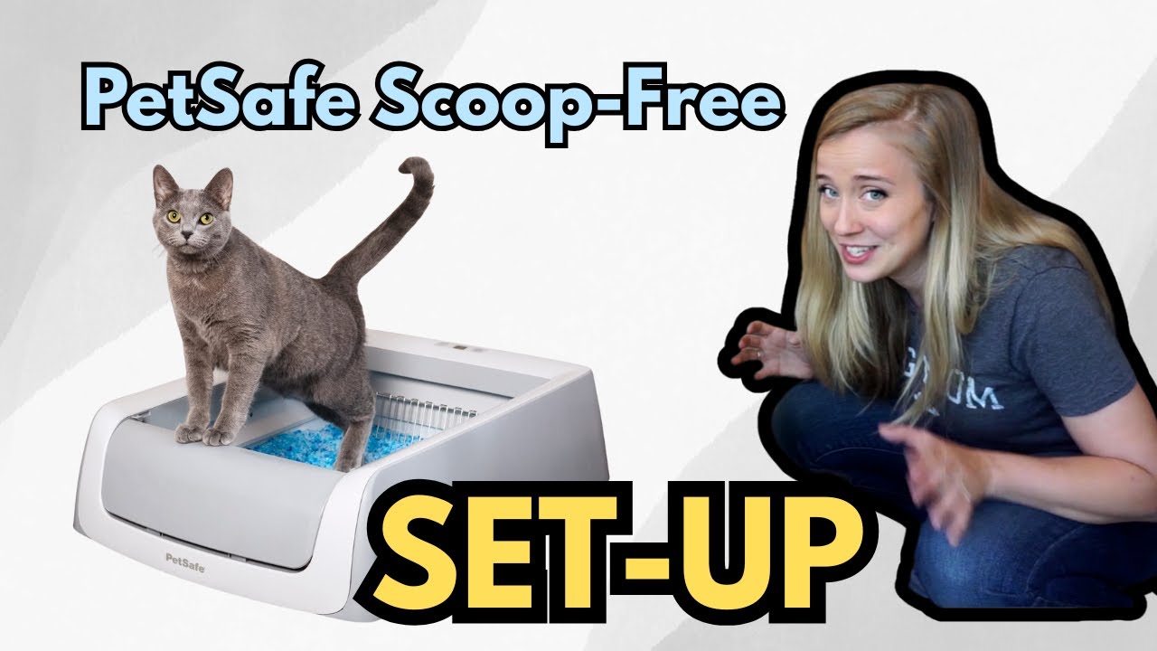 Самый простой лоток на свете? 😸 | PetSafe ScoopFree: установка и первые впечатления
