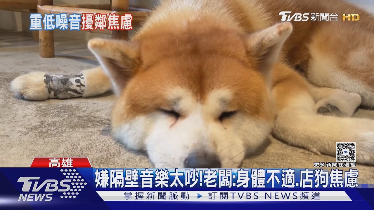 控酒吧狂播重低音太吵! 隔壁店家崩潰喊搬家｜TVBS新聞 @TVBSNEWS01