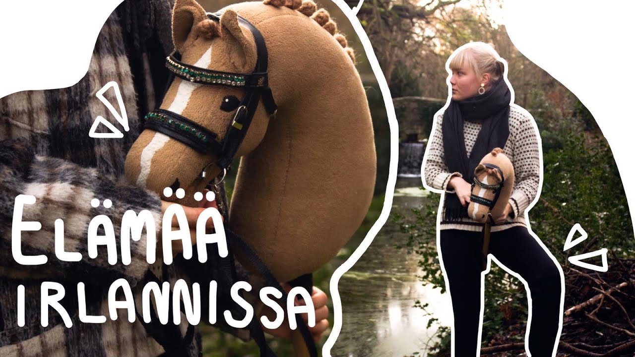 TREENIVIIKKO 1 IRLANNISSA // kenttää etsimässä