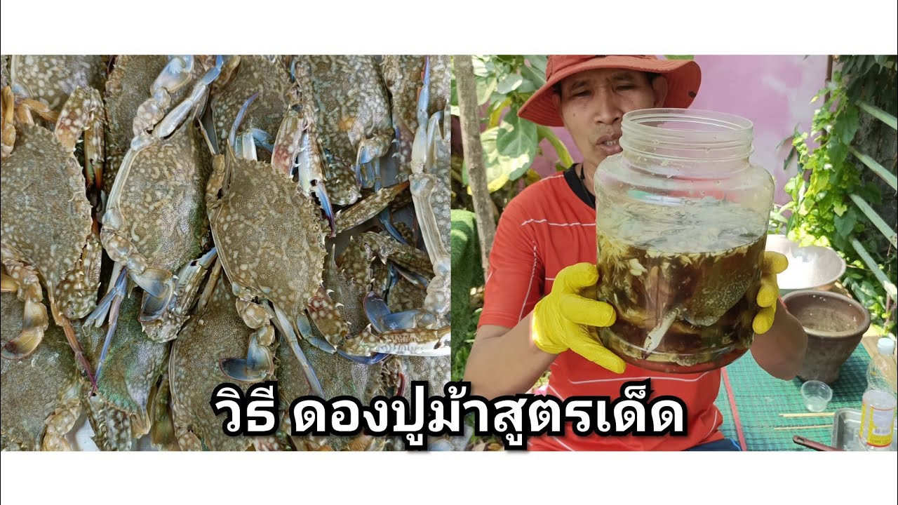 วิธี ดองปูม้าสูตรเด็ด