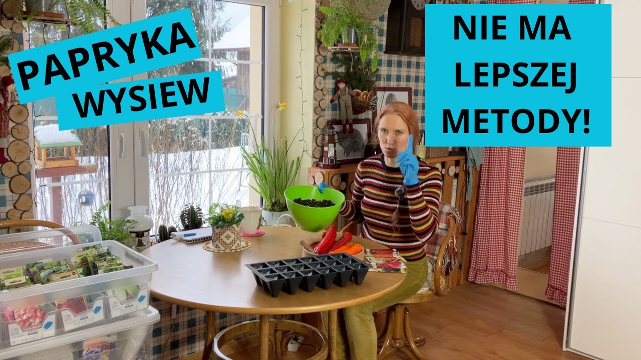 Jedyna słuszna metoda wysiewu PAPRYKI... Kto pamięta te liczby?