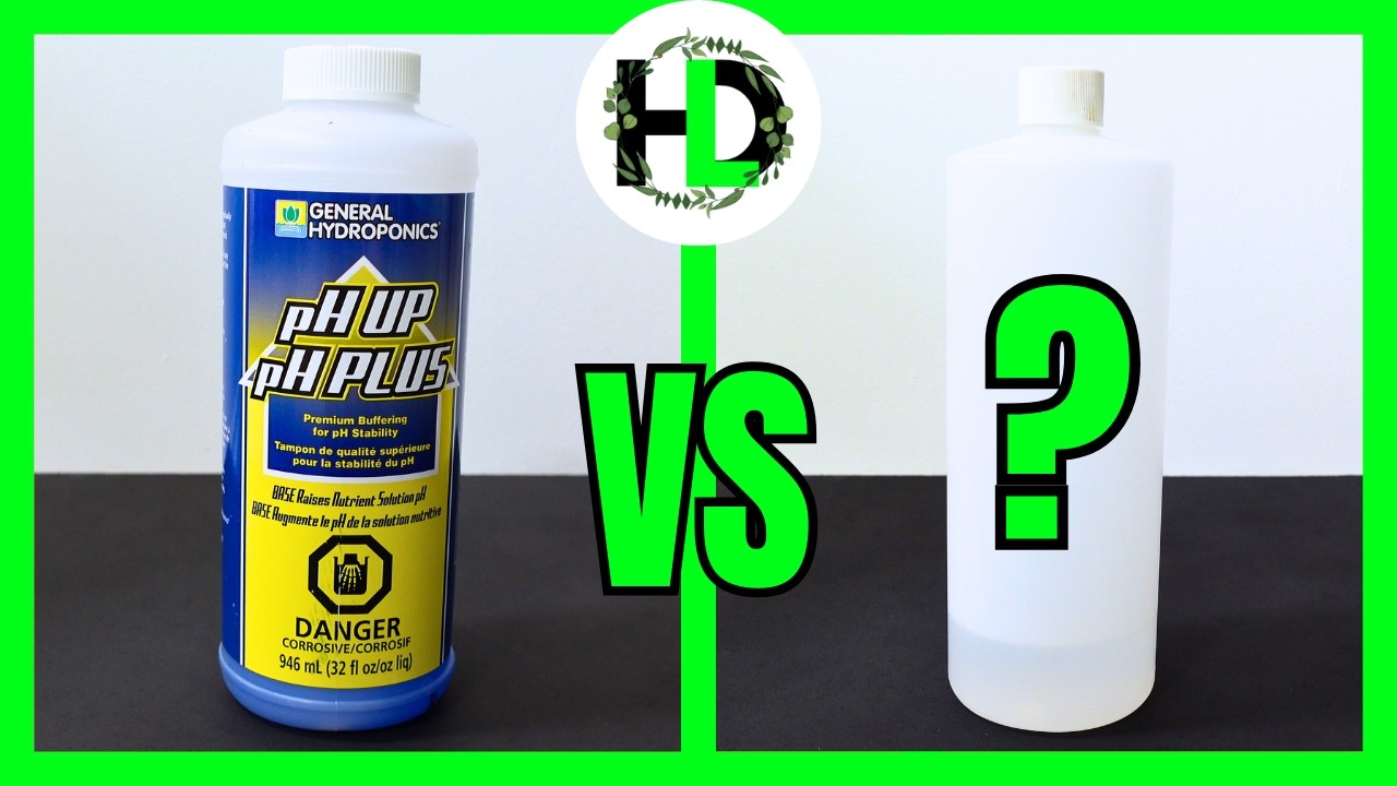 Can Homemade pH Up Beat the Big Brands?