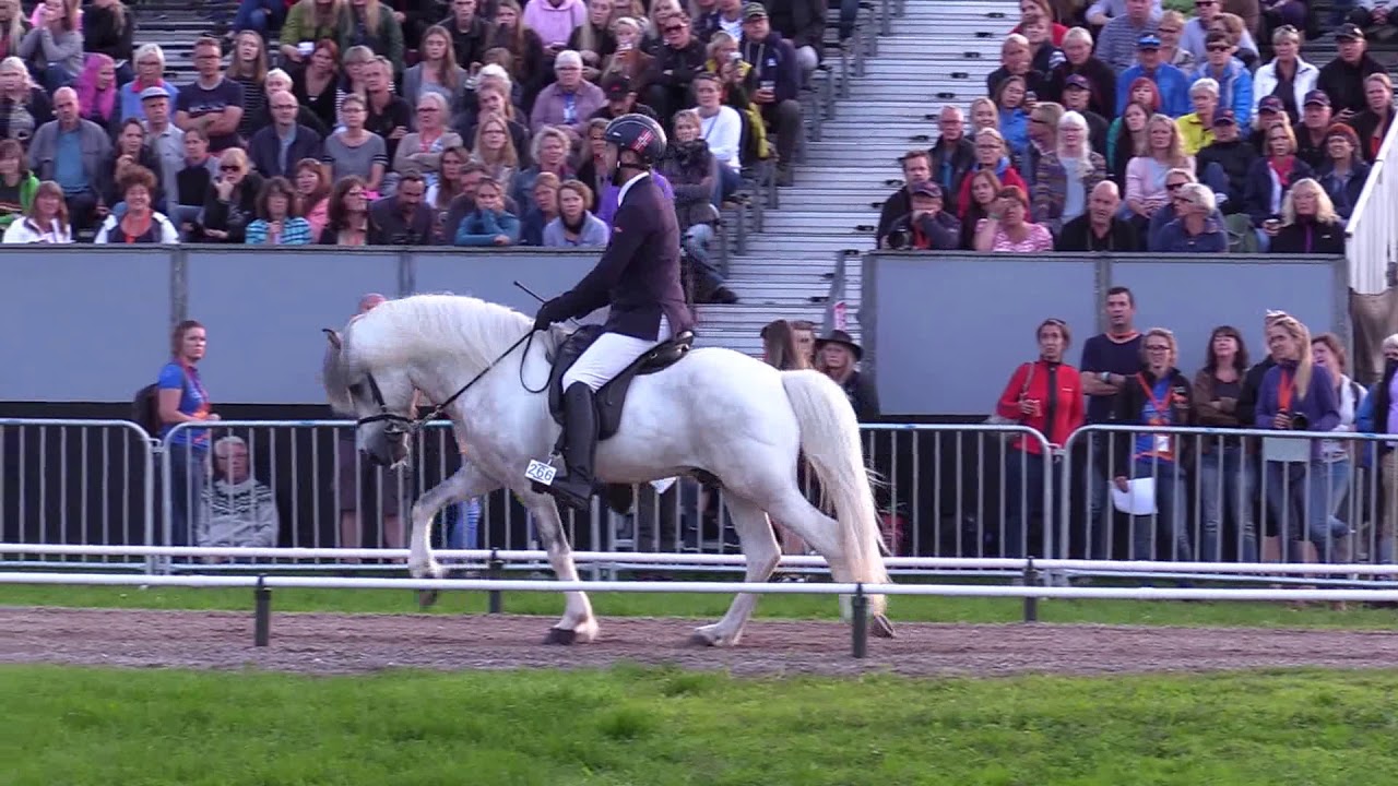 Bjartmar fra Nedre Sveen. WC17