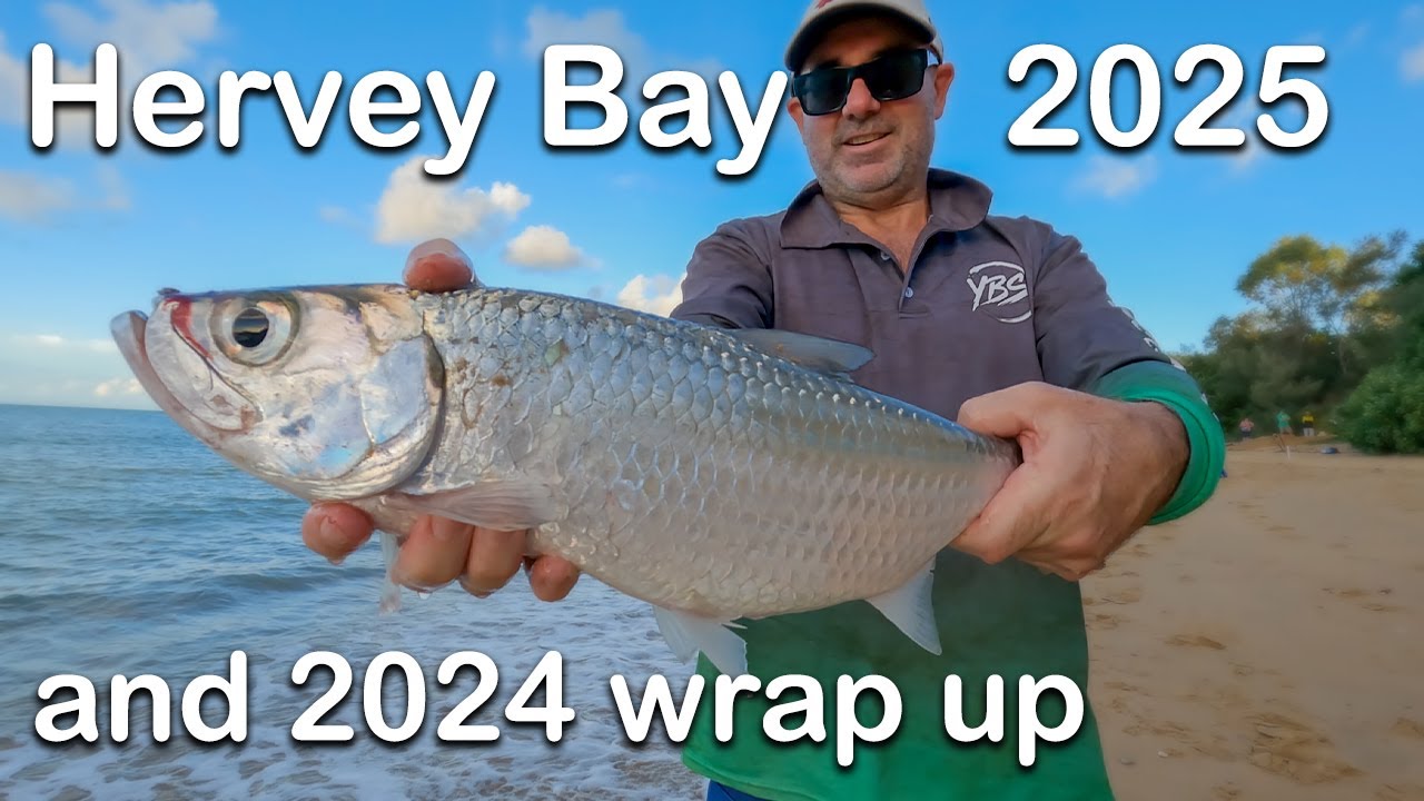 Hervey Bay - February 2025 and a look back at 2024