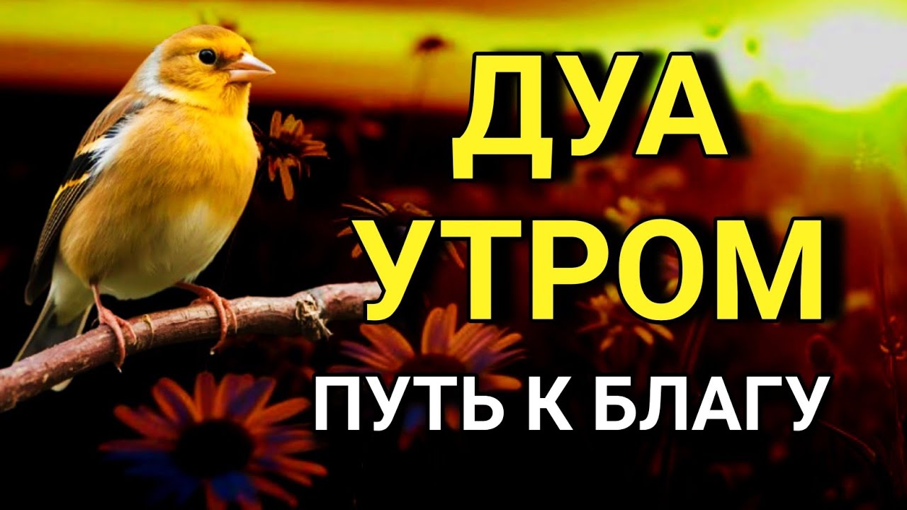 ☝️ СИЛЬНЕЙШЕЕ ДУА УТРОМ ОТ ВСЕХ БЕД 🤲🌹🔑💯