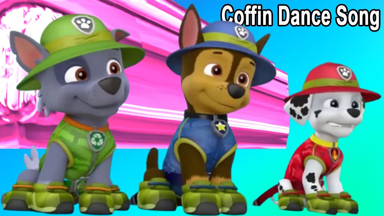 Paw Patrol - Coffin Dance Song Cover - Meme Song Cover Ep03