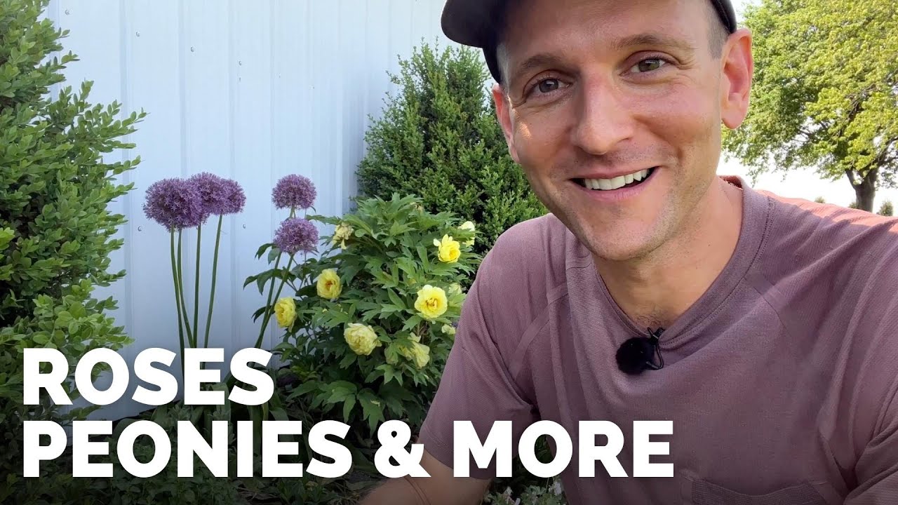 My Flowerbeds in Spring | Let's See What's Blooming in May | Gardening with Wyse Guide
