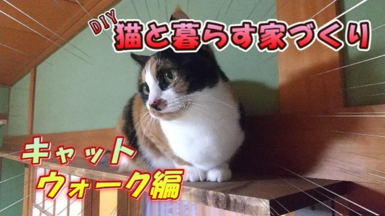 【猫DIY】SeasonⅠ『キャットウォーク編』猫大喜び！
