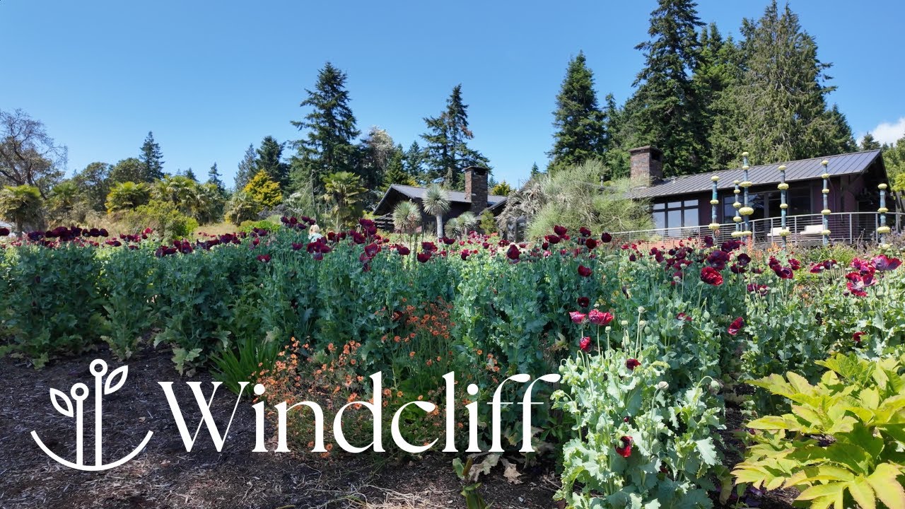 A Day at Windcliff | Dan Hinkley&rsquo;s Garden is Pure Magic ✨🌿🌼