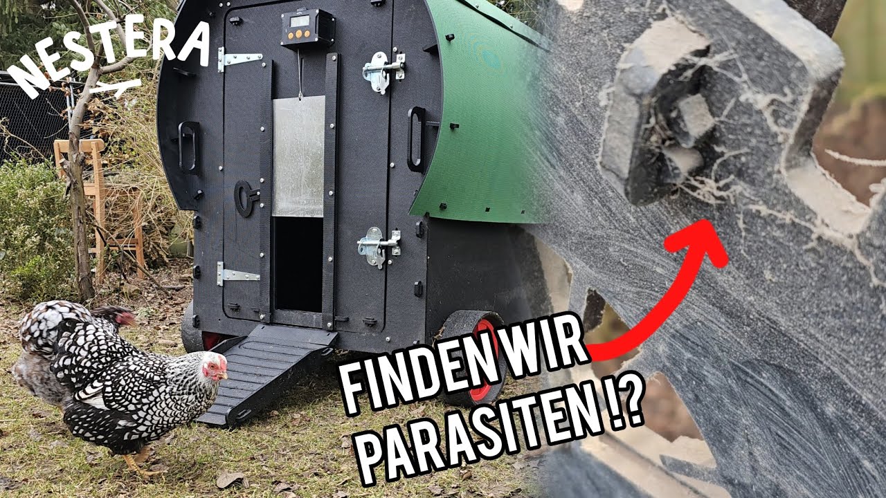 Nestera Frühjahrsputz