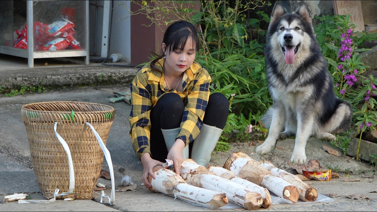 What did I do to earn 300 thousand VND a day from the forest and one meal?. Vietnamese girl