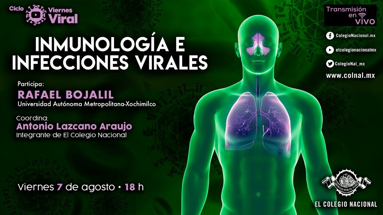 Inmunolog&iacute;a e infecciones virales