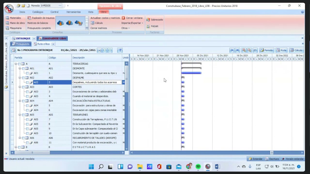 Costos Indirectos Neodata (I)