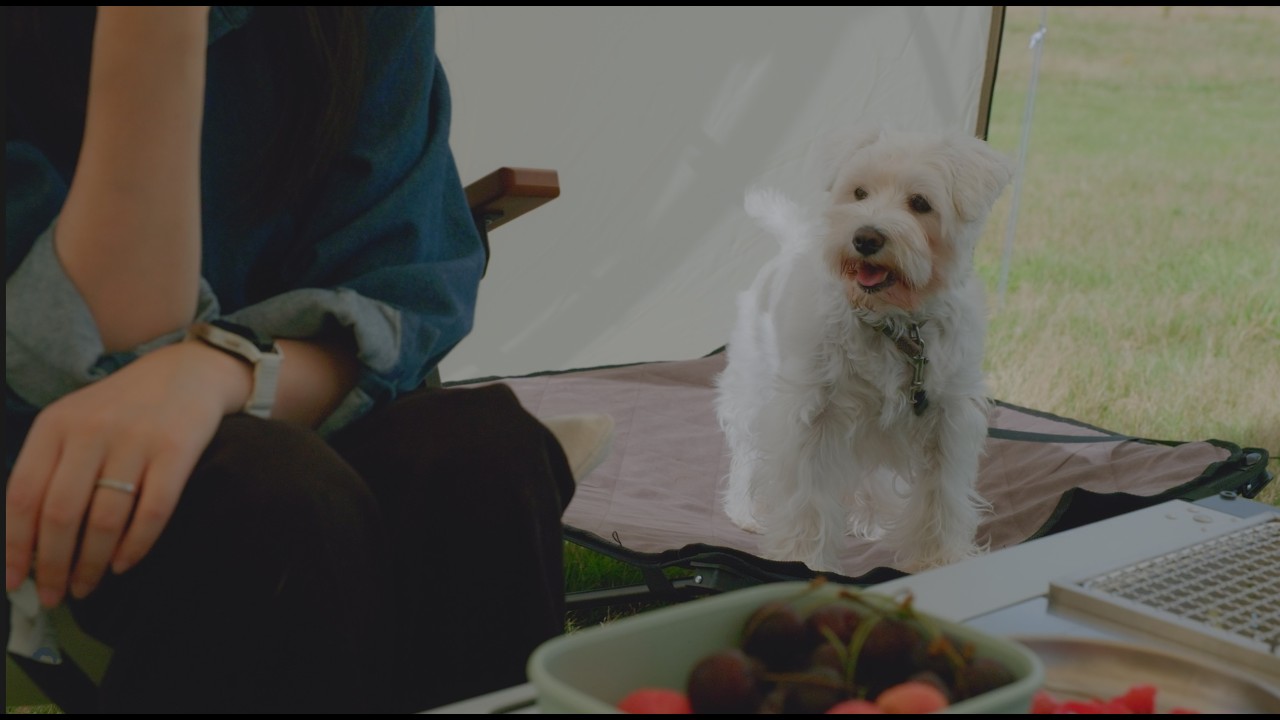 UK Camping with Our Dog - Snow Peak Landlock Ivory EP.03