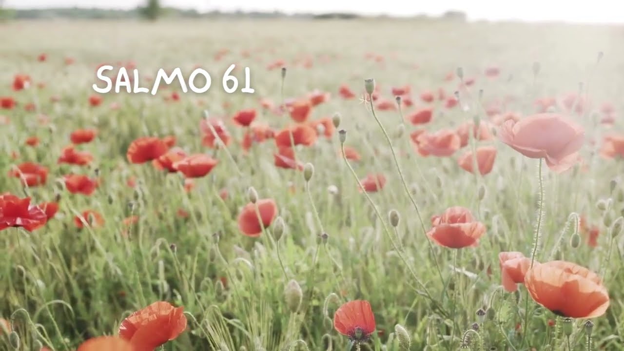 SALMO 61 /Musuca cristiana di adorazione a Dio
