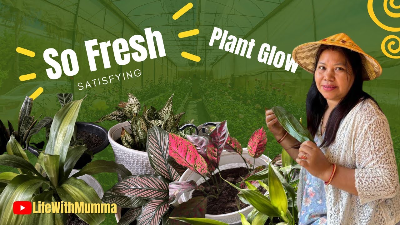 So Relaxing 🌿 | Cleaning Plants & Fresh Garden Vibes | LifeWithMumma