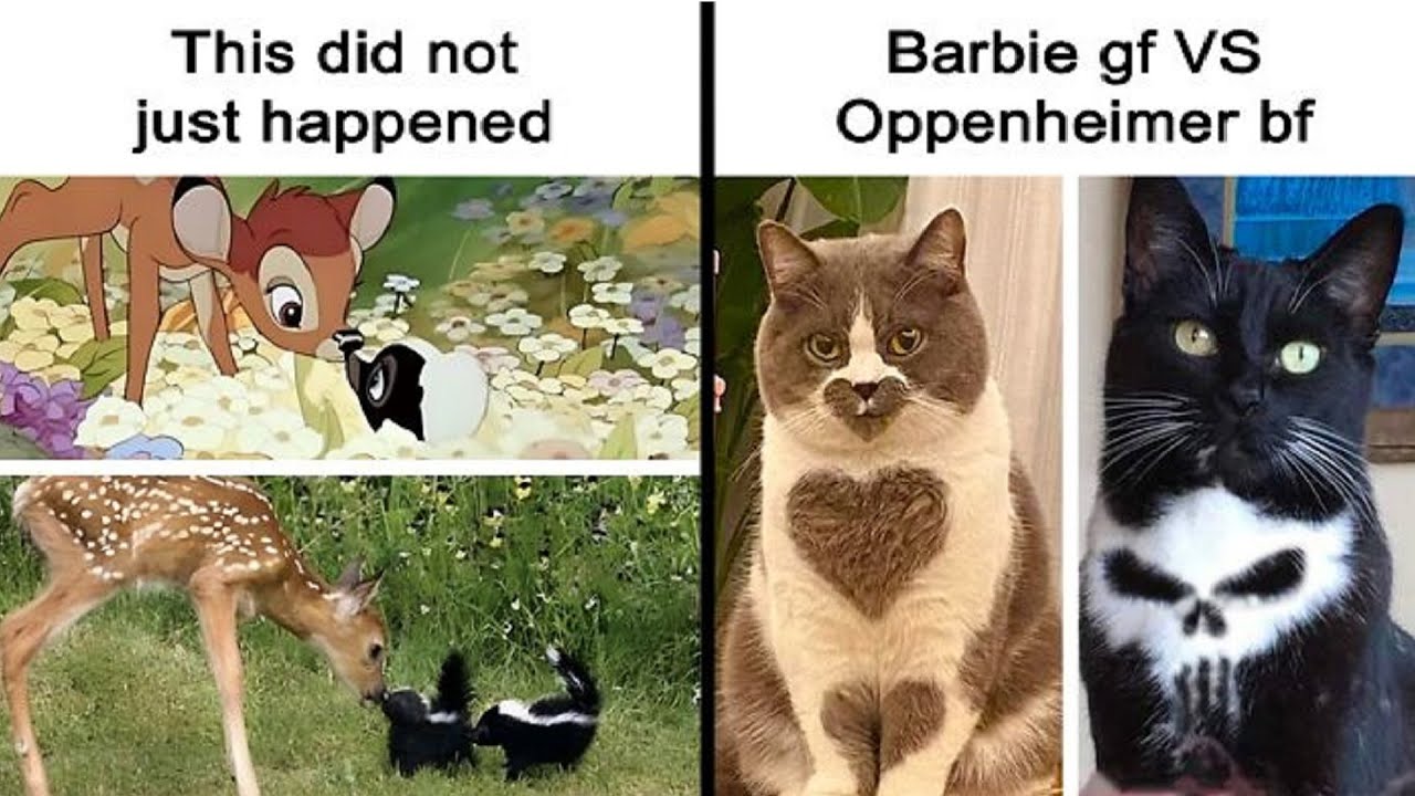 Adorably Hilarious Animal Memes That&rsquo;ll Make You Laugh Way Too Hard 😂🐾
