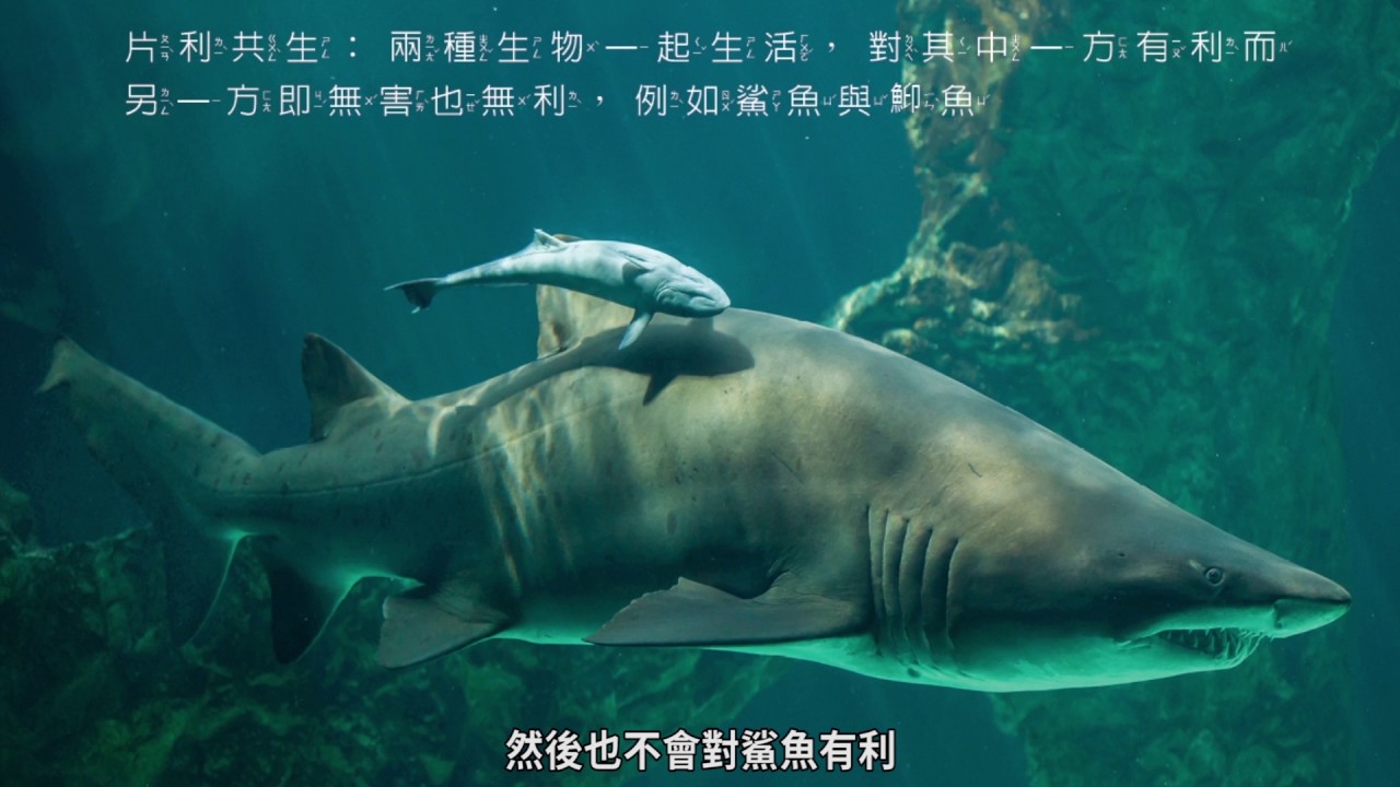Basic生物篇＿生態圈 14