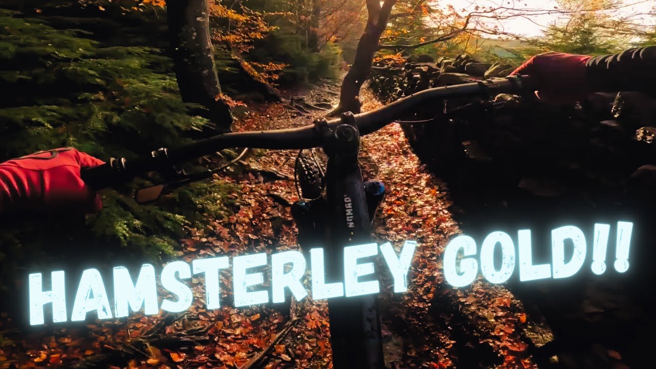 Hamsterley Forest - Off piste/Enduro trails in the wet!!