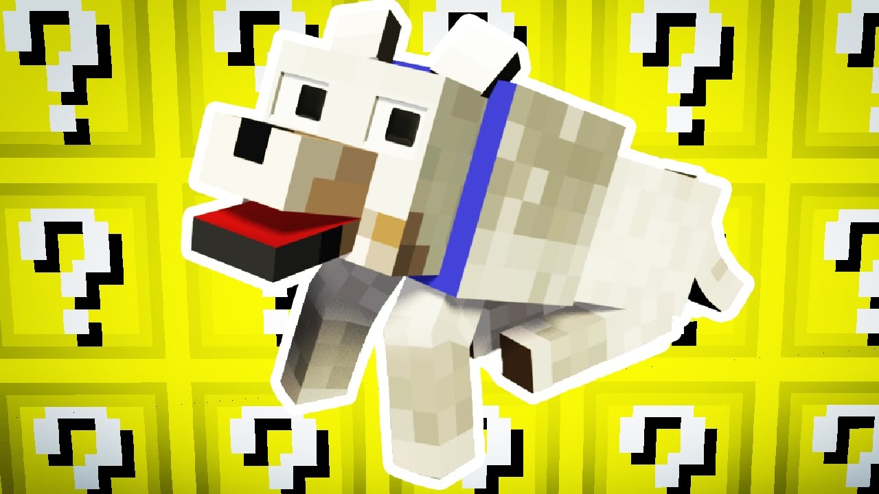PIES KTÓRY WYGRYWA! - LUCKY BLOCK SKY WARS PL