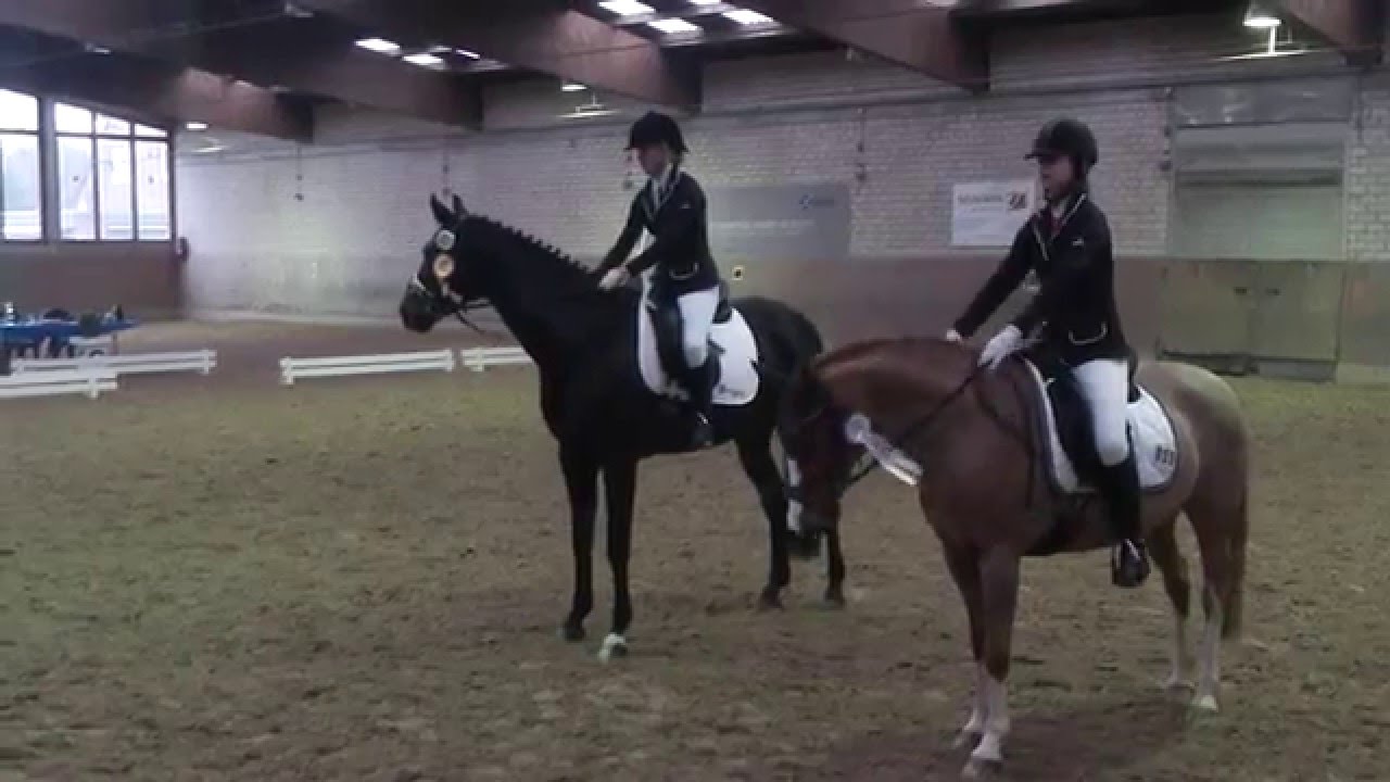 Sieg in der E Dressur mit Olala (E3) 30.01.2016, Leverkusen :)