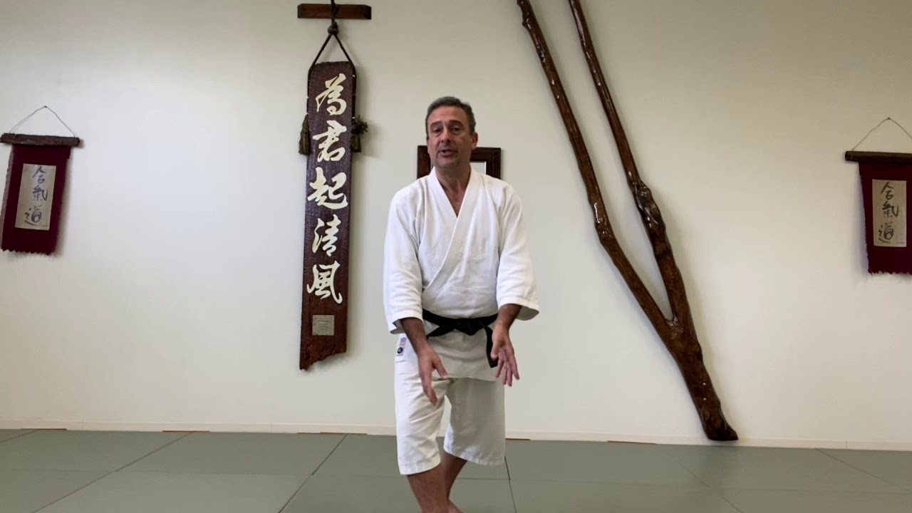 Basic Footwork: Tenkan and Irimi Tenkan
