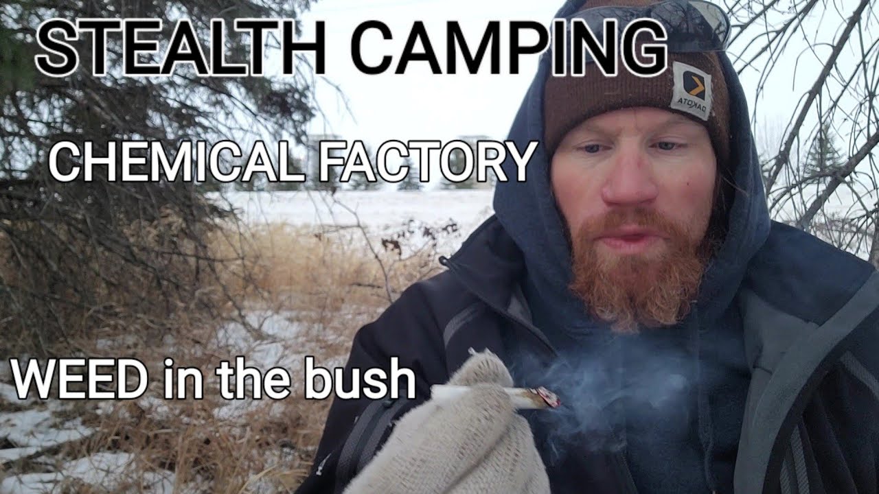 STEALTH CAMPING beside a chemical factory #stealthcampingalliance #stealthcamping #weed