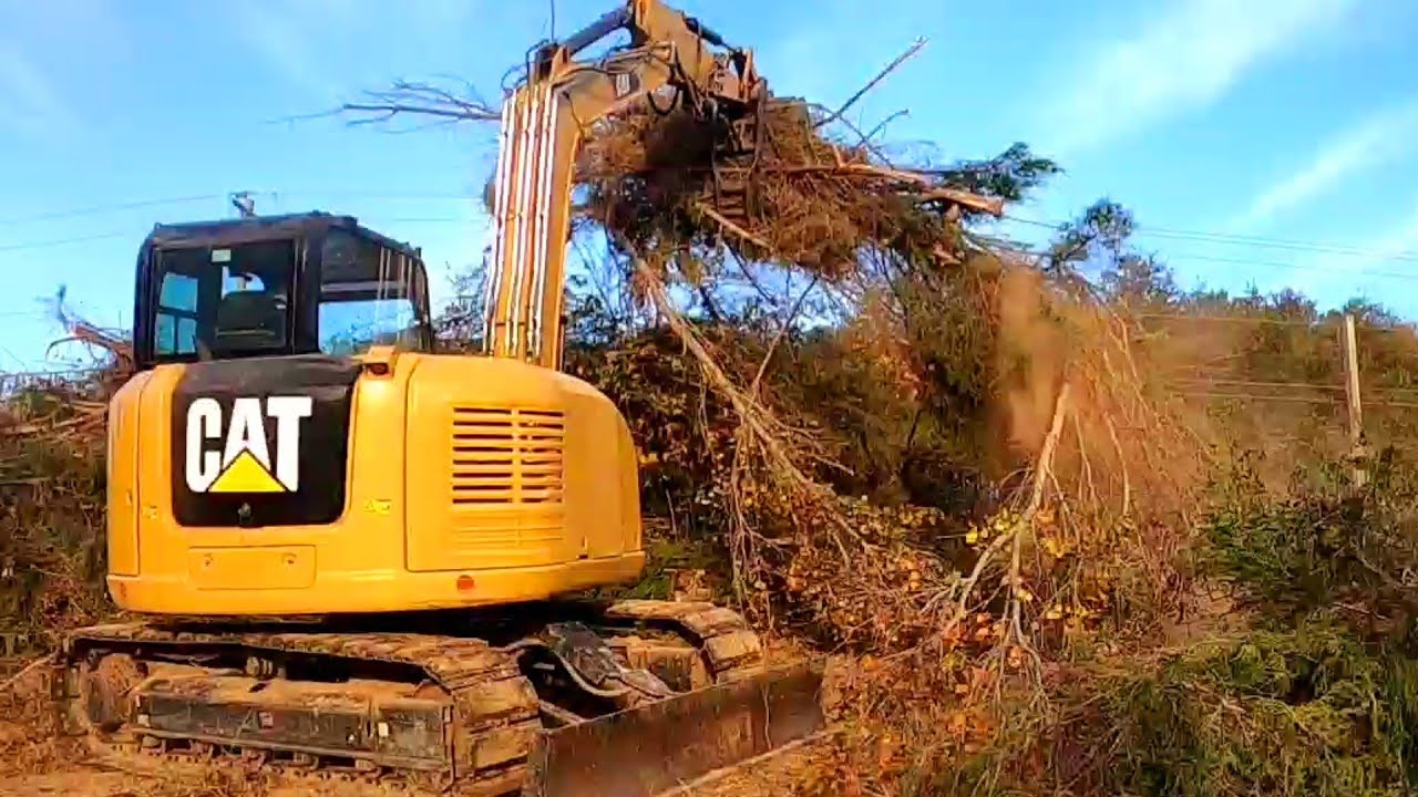 Extremely Overgrown Property!Total Transformation!!!  let's Get it Cleaned Up! CAT 308