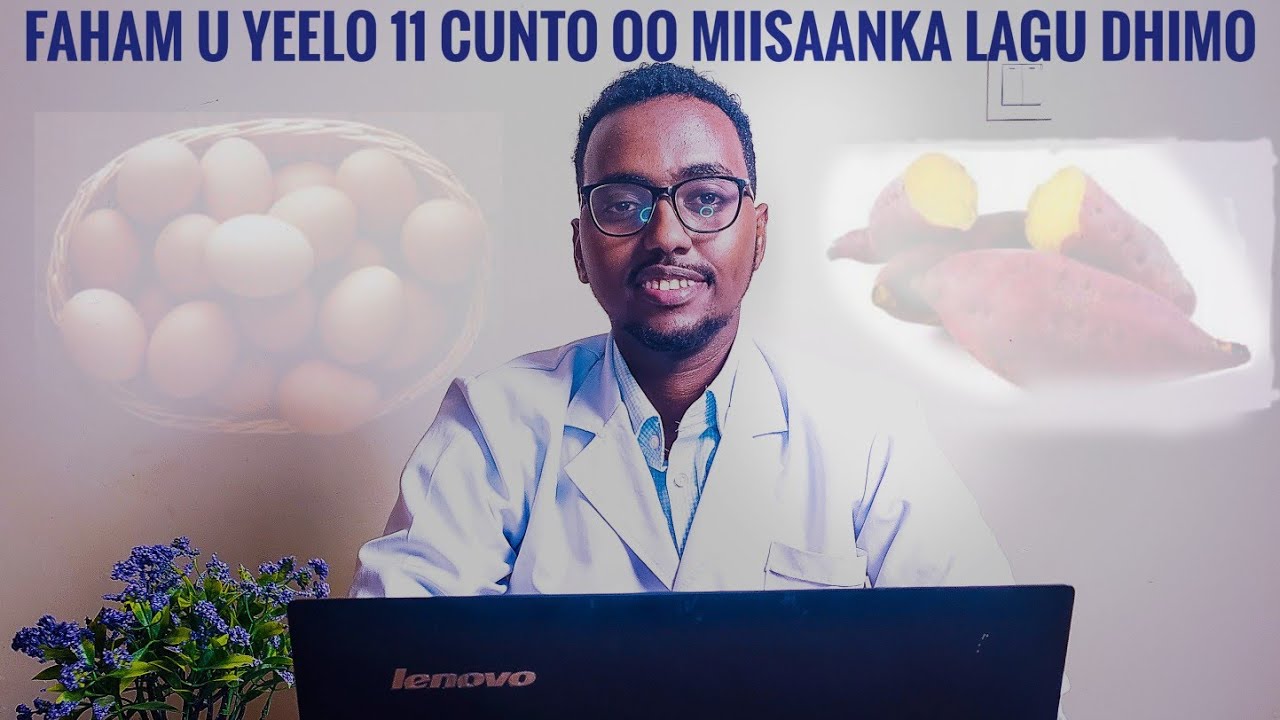 Faham U Yeelo 10 Cunto Oo Miisaanka Lagu Dhimo 2022