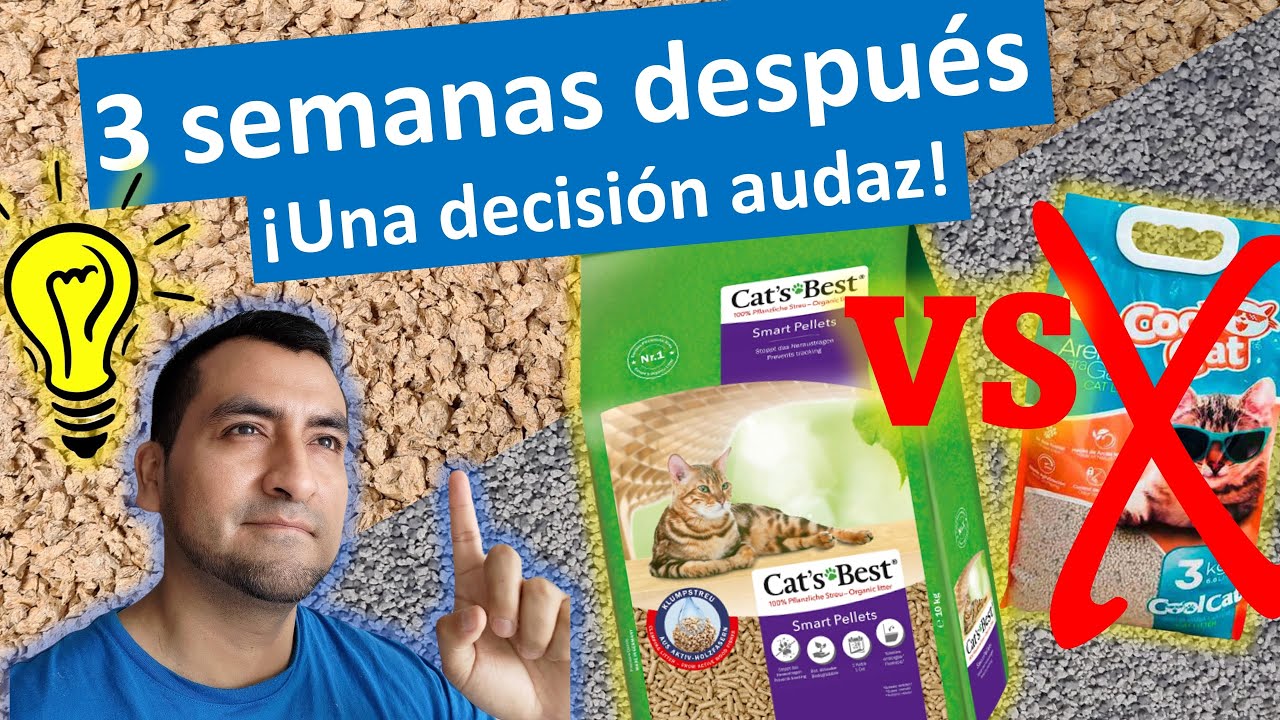 3 semanas después tomo una DECISIÓN AUDAZ: Cat's Best Smart Pellets VS Cool Cat