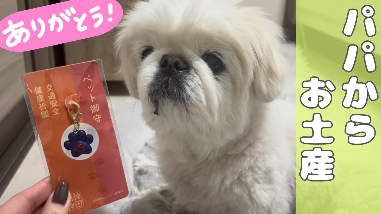 【最近】パパからもらったお守りを渡します