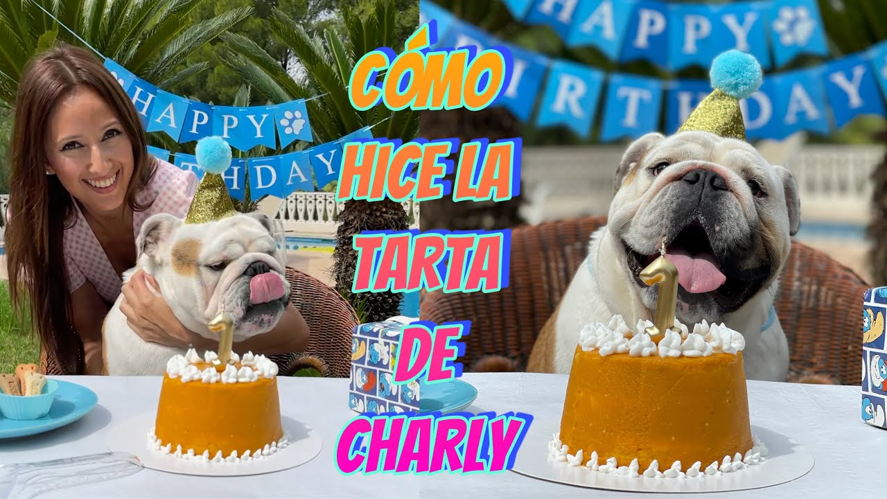 ¡RECETA TARTA PARA PERROS! 🐶 ¡PARA CHUPARSE LAS PATAS! 🐾 ¡CHARLY CUMPLE 1 AÑO Y ASÍ LO CELEBRAMOS!