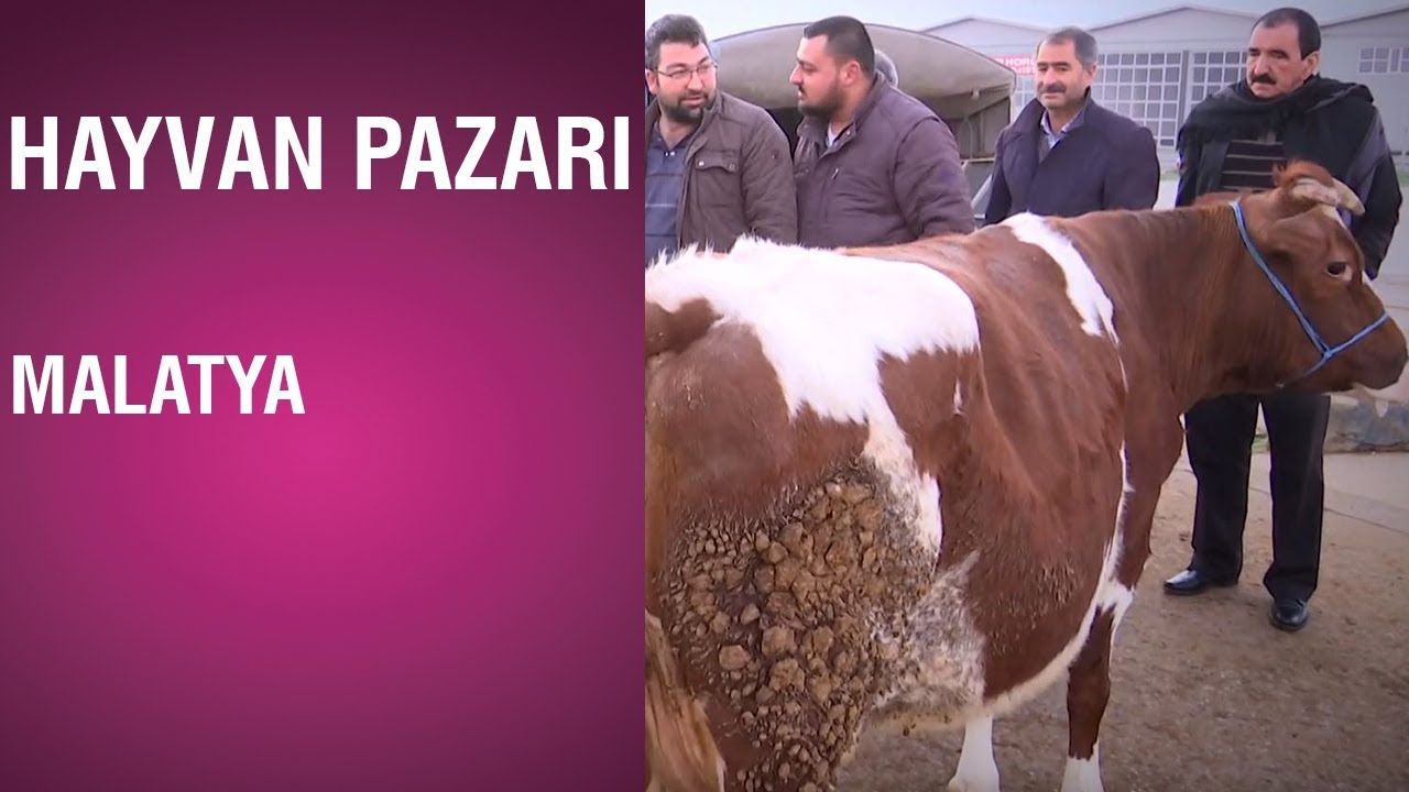 Hayvan Pazarı - Malatya / 12.03.2019