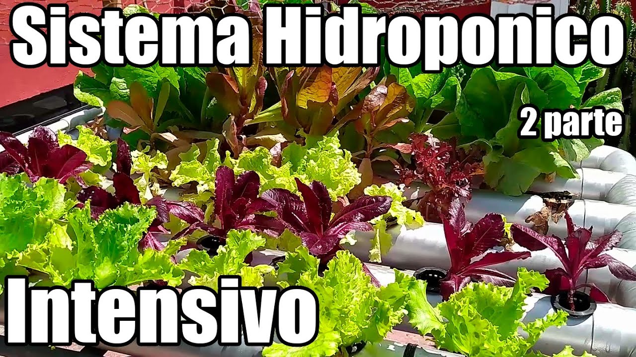 Como hacer sistema hidropónico intensivo NFT || 2 Parte || hidroponia || México Verde
